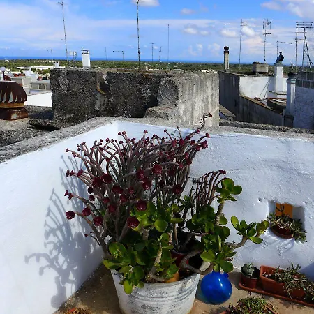 Apartment Bellavista