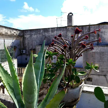 Bellavista *
