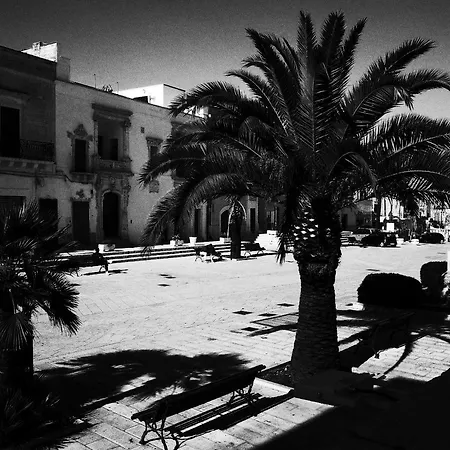 Bellavista برينديسي